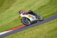 Vintage-motorcycle-club;eventdigitalimages;mallory-park;mallory-park-trackday-photographs;no-limits-trackdays;peter-wileman-photography;trackday-digital-images;trackday-photos;vmcc-festival-1000-bikes-photographs